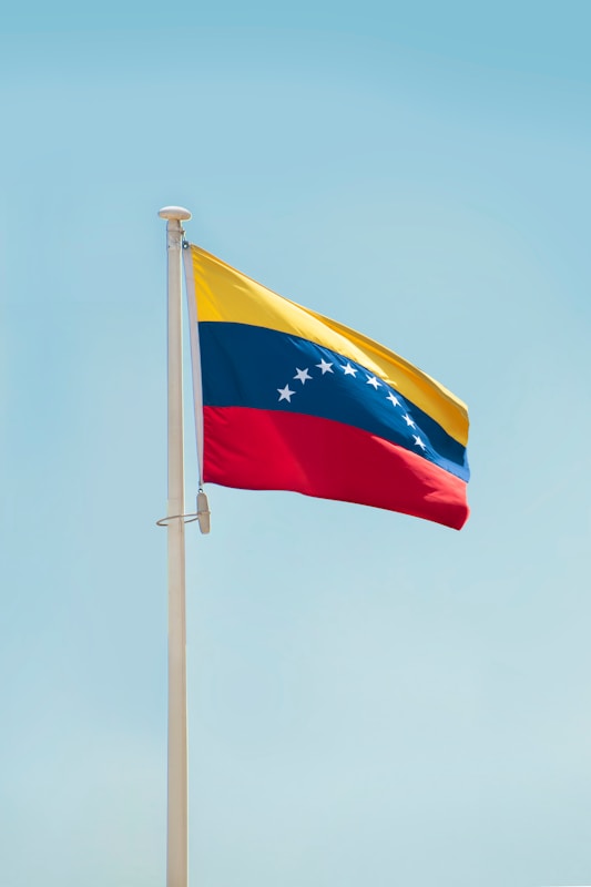 a flag on a pole